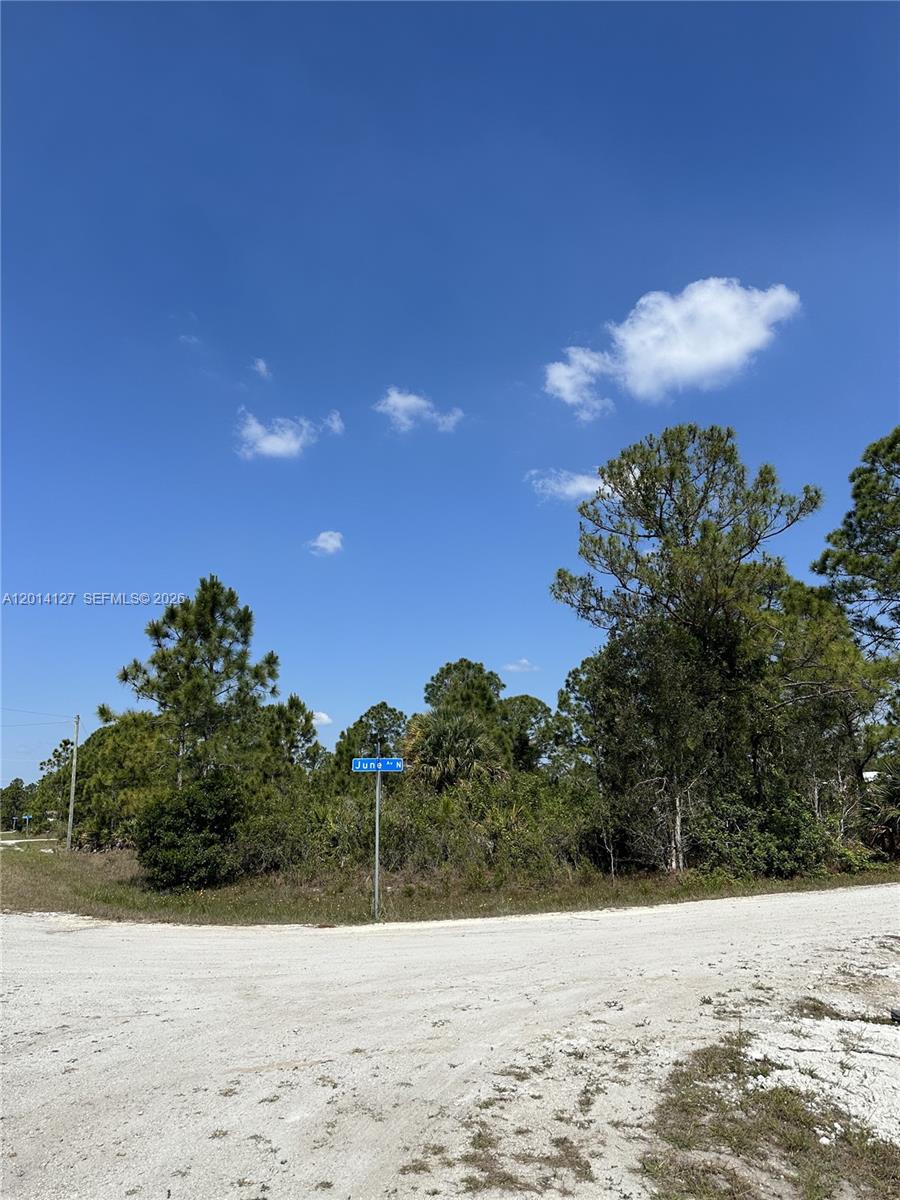 A dirt road intersection features a street sign labeled June Ave N amidst wooded land — 3401 June Ave N, Lehigh Acres FL 33971, LEHIGH ACRES, FL