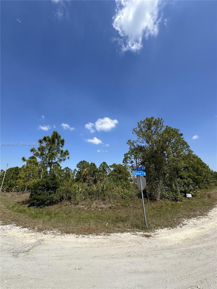 A vacant, wooded corner lot is situated at the intersection of two dirt roads — 3401 June Ave N, Lehigh Acres FL 33971, LEHIGH ACRES, FL