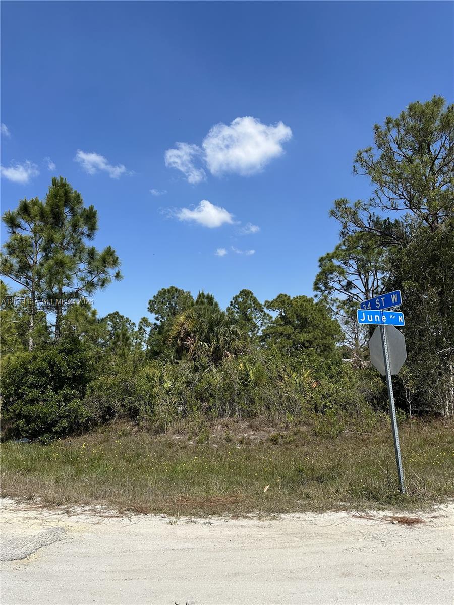A street sign marks the corner of 34th Street West and June Avenue near a wooded lot — 3401 June Ave N, Lehigh Acres FL 33971, LEHIGH ACRES, FL