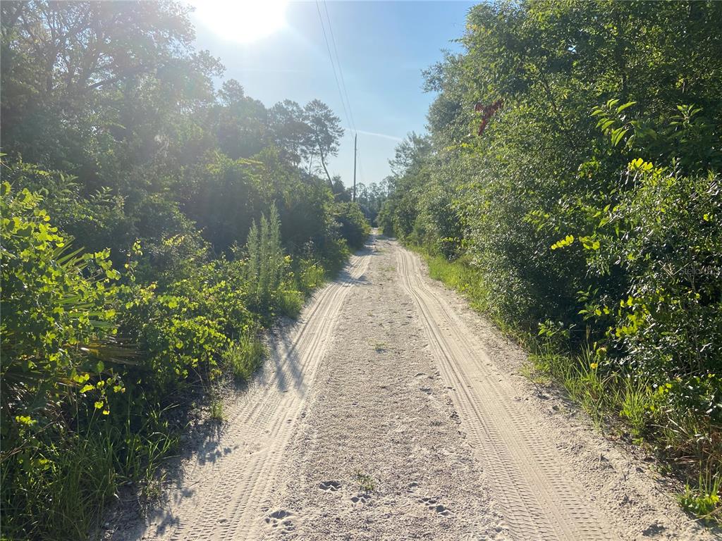 A sandy, unpaved road stretches through a dense, green wooded area under a bright sun — 21139 SE 144TH LANE, UMATILLA, FL