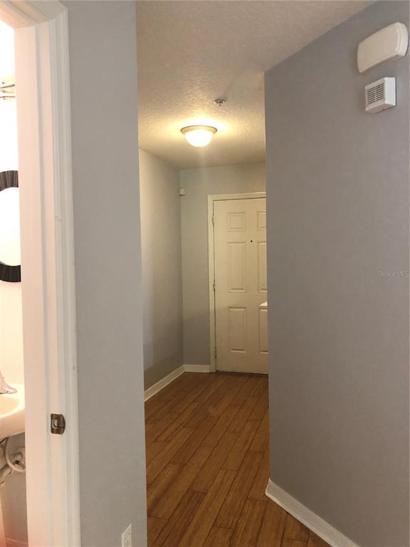 A hallway with wood-look flooring leads to a white door under a ceiling light fixture — 13442 APPLEROSE LANE UNIT 66, ORLANDO, FL