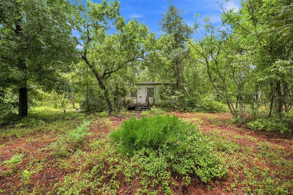 A small, weathered mobile home sits nestled among dense trees and overgrown vegetation — 4734 S SLASH PINE AVENUE, HOMOSASSA, FL