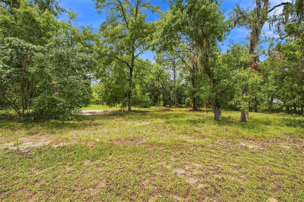 A grassy, partially cleared lot features numerous mature trees under a bright blue sky — 4734 S SLASH PINE AVENUE, HOMOSASSA, FL