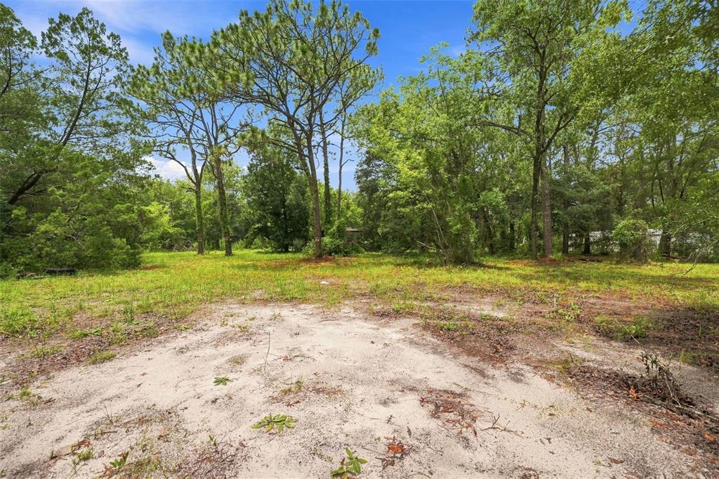 A sandy, partially cleared lot is surrounded by dense green trees under a blue sky — 4734 S SLASH PINE AVENUE, HOMOSASSA, FL