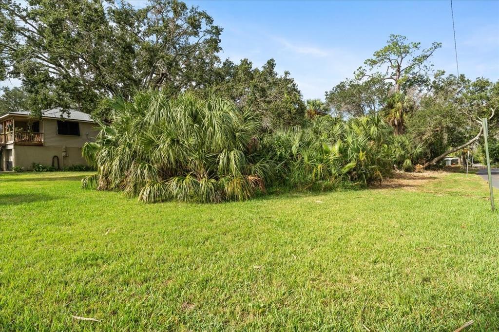 A grassy lot features a large cluster of palm trees next to a residential house — 7601 PIER ROAD, PORT RICHEY, FL