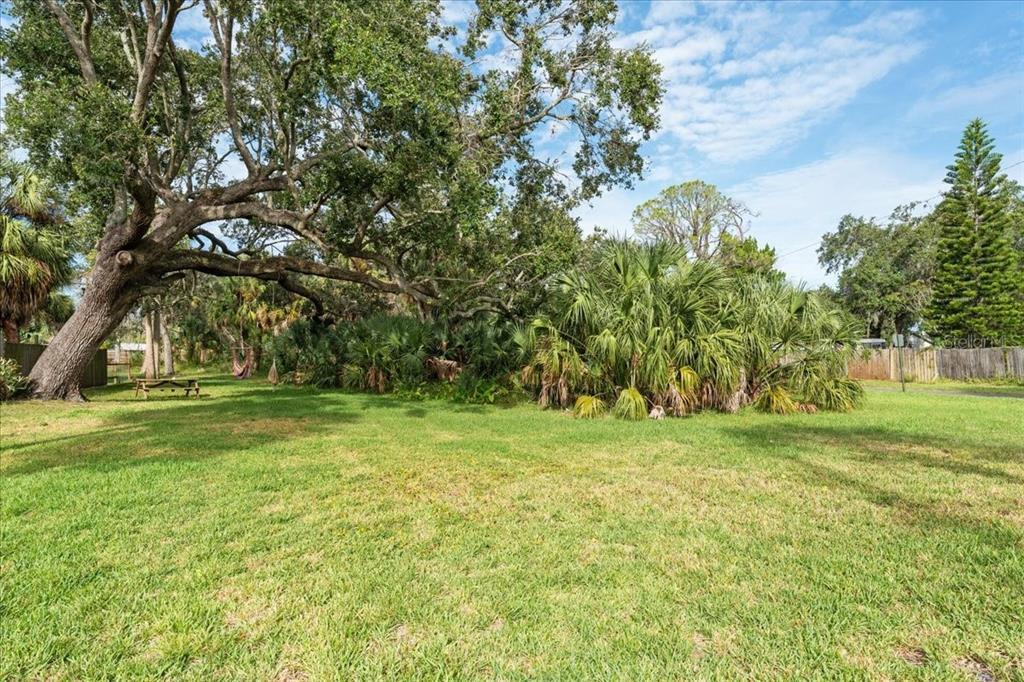 A large grassy backyard features a sprawling oak tree, palm bushes, and a wooden picnic table — 7601 PIER ROAD, PORT RICHEY, FL