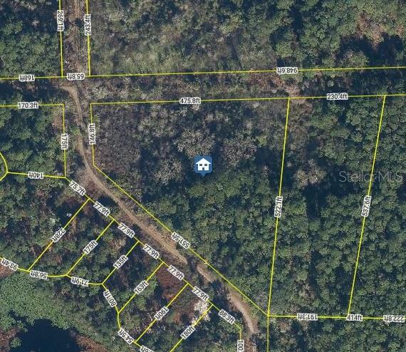 This is an aerial map showing property boundary lines and dimensions for a wooded lot — Lots 11 & 21 STARDUST BOULEVARD, CRESCENT CITY, FL
