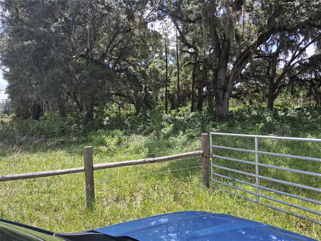 A metal gate and wooden fence border a grassy field with dense trees in the background — 409 COUNTY ROAD 542E, BUSHNELL, FL