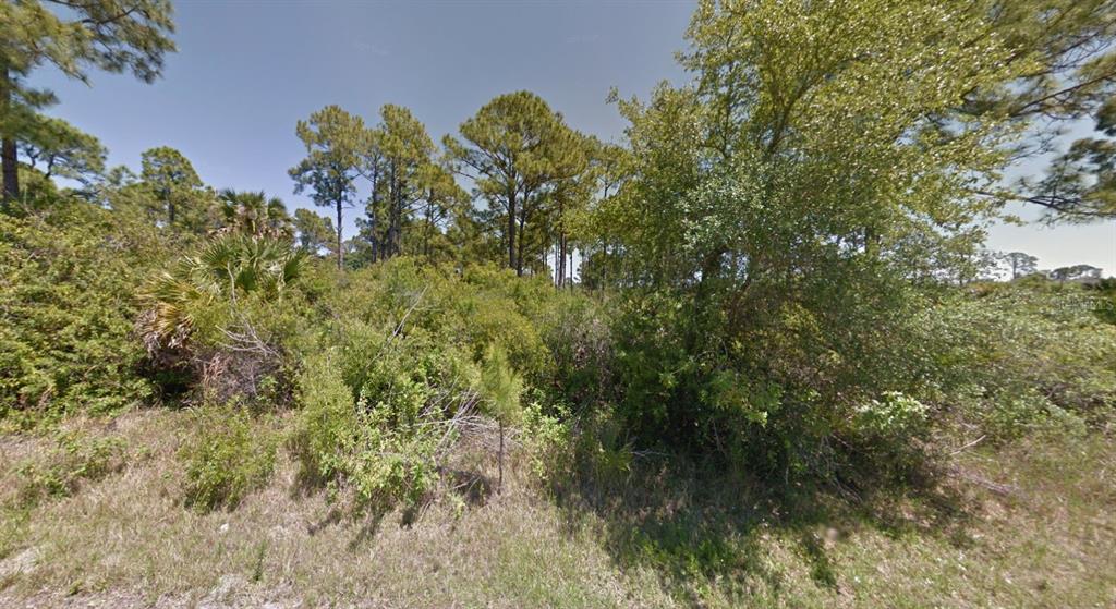 A dense, wooded lot features tall pine trees and thick underbrush under a clear sky — 116 HAWKE STREET, PORT CHARLOTTE, FL