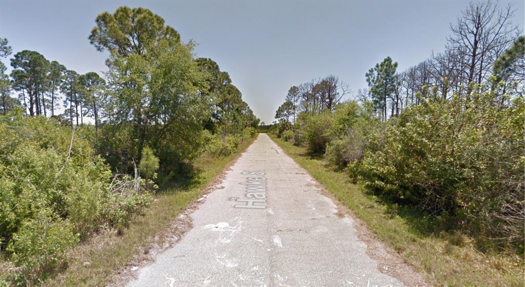 A narrow, weathered asphalt road stretches through a dense, wooded area with overgrown vegetation — 116 HAWKE STREET, PORT CHARLOTTE, FL