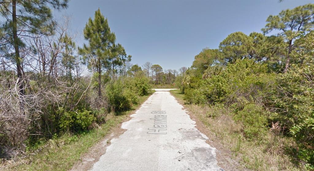 A narrow, weathered paved road leads through a wooded area with dense surrounding vegetation — 116 HAWKE STREET, PORT CHARLOTTE, FL