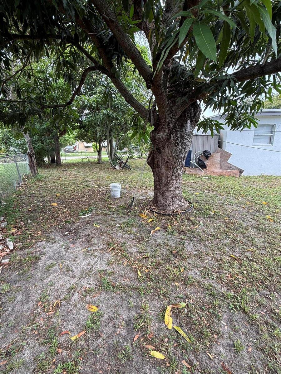A large tree stands in a grassy backyard next to a white house — 440 Tulip Tree Drive, Lake Worth FL 33462, LAKE WORTH, FL