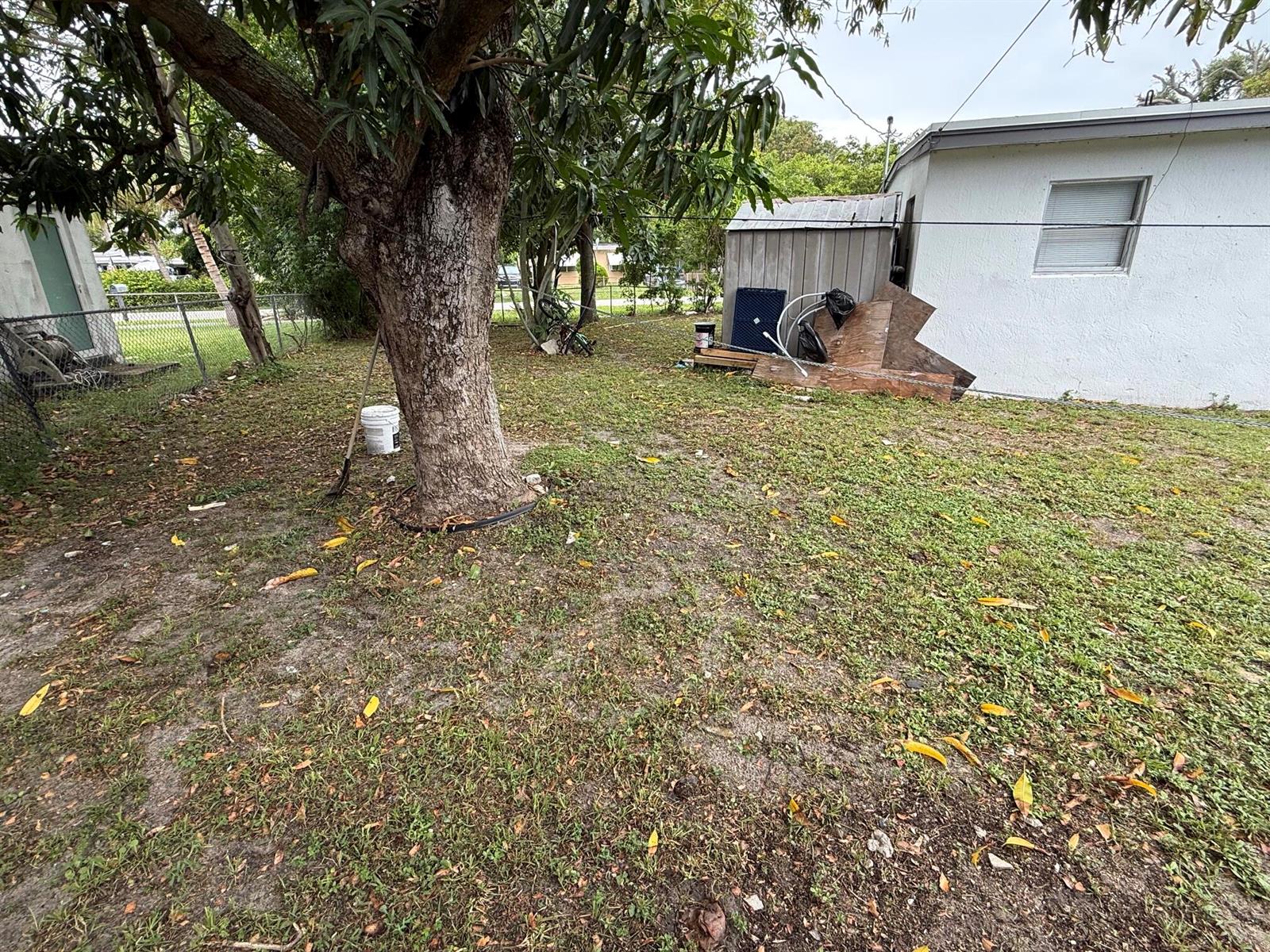 A backyard features a large tree, a small shed, and a white house exterior — 440 Tulip Tree Drive, Lake Worth FL 33462, LAKE WORTH, FL
