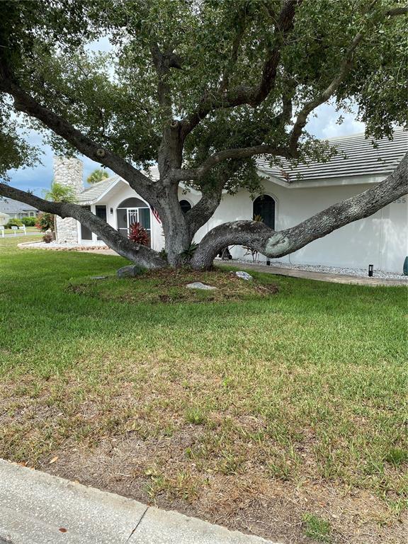 A large, mature oak tree stands in the front yard of a white house — 355 EDEN DRIVE, ENGLEWOOD, FL