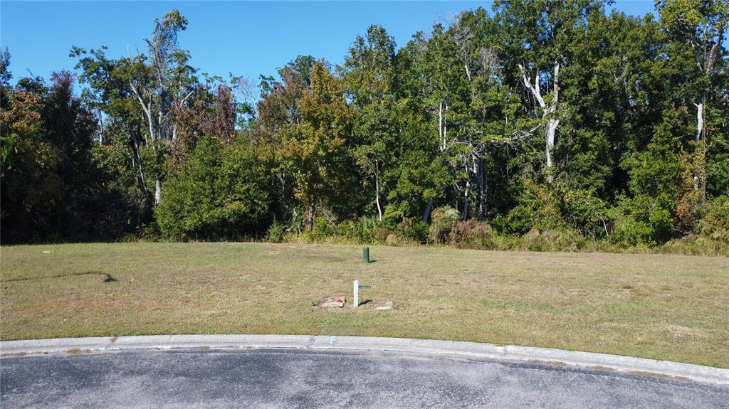 0 FOREST GLENN DRIVE, SPRING HILL, FL — photo 2 of 30