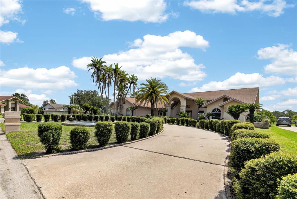 A long concrete driveway leads to a house with a circular hedge and palm trees — 2714 PINE CLUB DRIVE, PLANT CITY, FL
