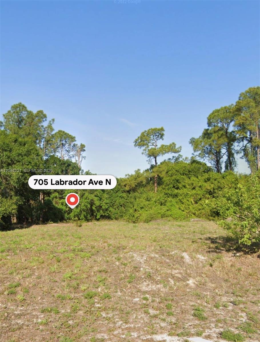 A vacant, grassy lot is surrounded by dense green trees under a clear blue sky — 705 LABRADOR AVE N, Lehigh Acres FL 33971, LEHIGH ACRES, FL