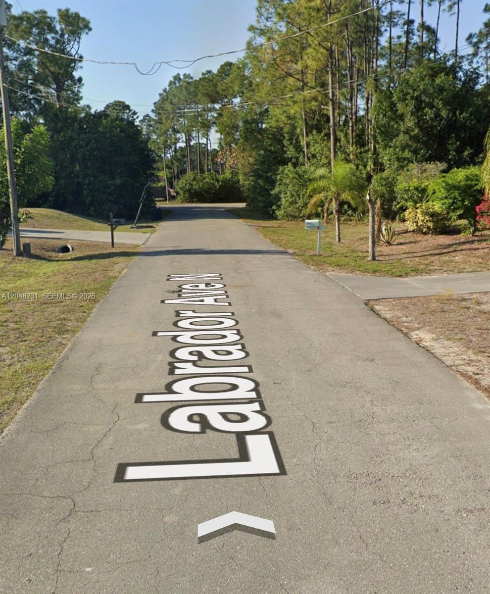 A paved road with painted street name markings leads toward a wooded area — 705 LABRADOR AVE N, Lehigh Acres FL 33971, LEHIGH ACRES, FL