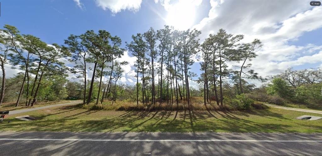 A grassy, tree-lined vacant lot sits alongside a paved road under a sunny sky — COMMONWEALTH AVE N, POLK CITY, FL