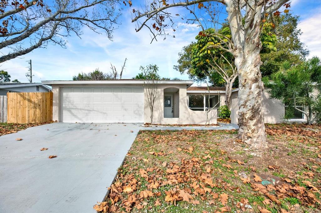 7831 FOX HOLLOW DRIVE
