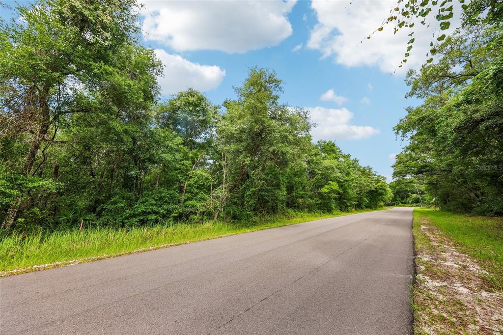 A paved road runs alongside a dense, wooded lot under a partly cloudy sky — 33340 TOMBSTONE ST, WEBSTER, FL