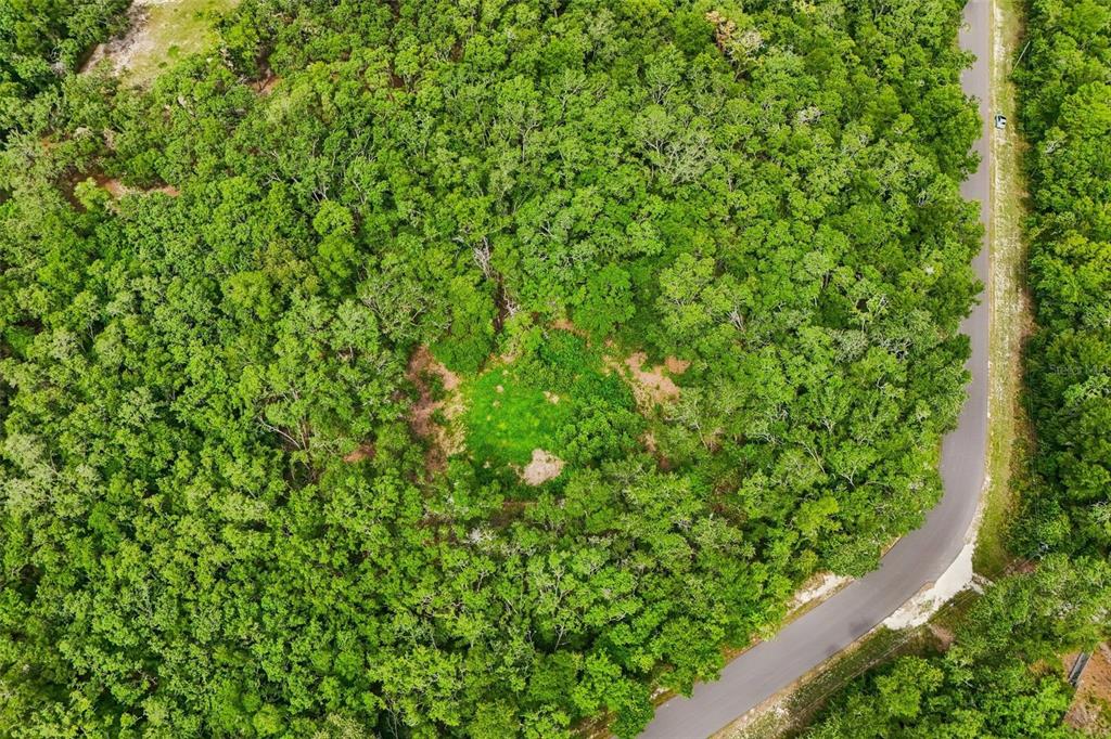 An aerial view shows a wooded lot with a central grassy clearing beside a road — 33340 TOMBSTONE ST, WEBSTER, FL
