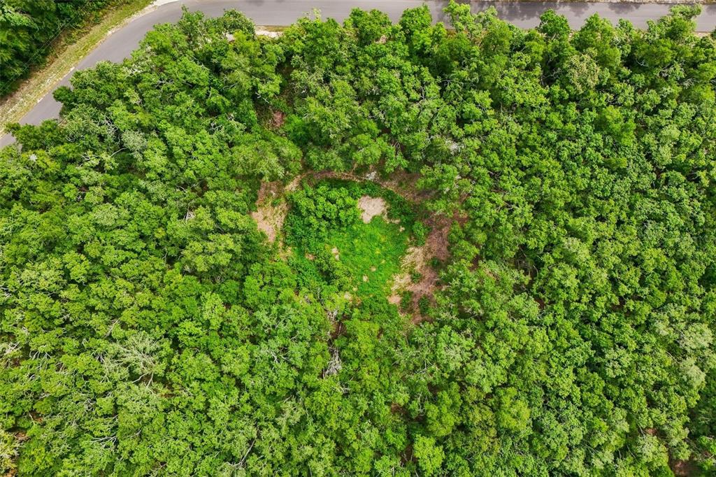 An aerial view shows a circular clearing surrounded by dense forest next to a road — 33340 TOMBSTONE ST, WEBSTER, FL