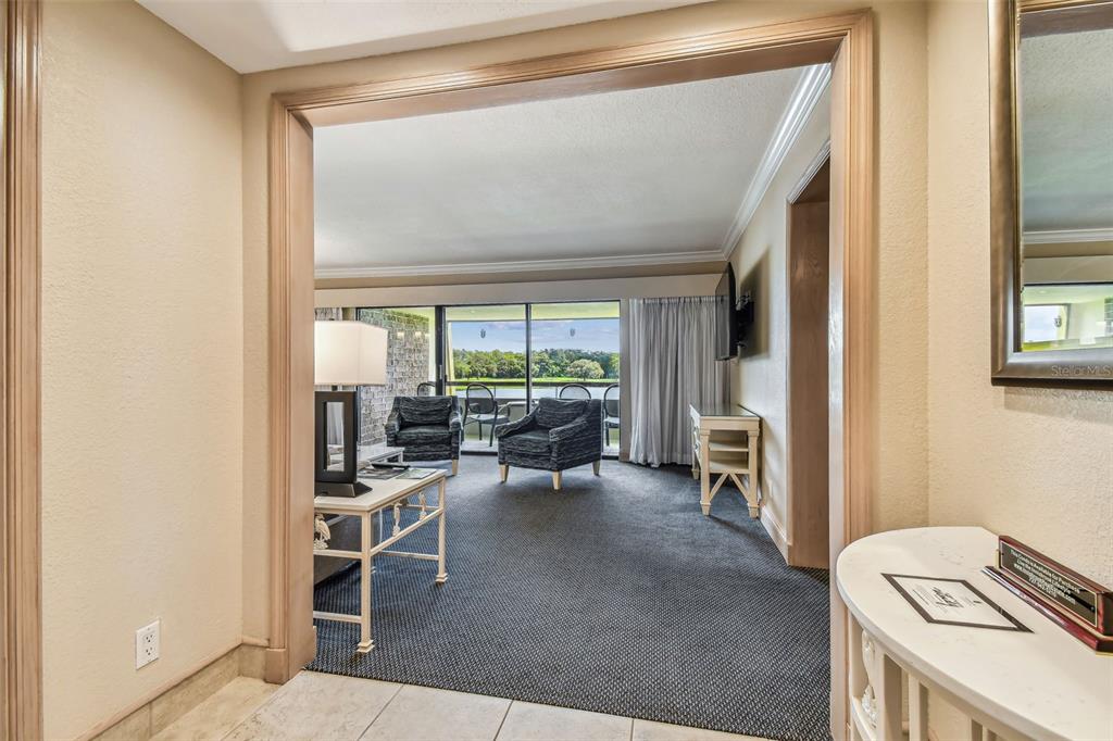 A view from a tiled entryway looking into a carpeted living area with a balcony — 36750 US HIGHWAY 19 N UNIT 04308, PALM HARBOR, FL