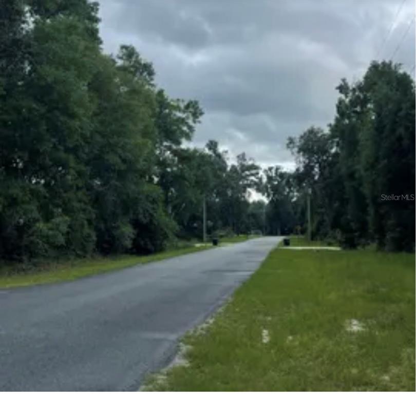 A paved road runs between two wooded lots under a cloudy sky — 14410 NW 78TH AVENUE NW, TRENTON, FL
