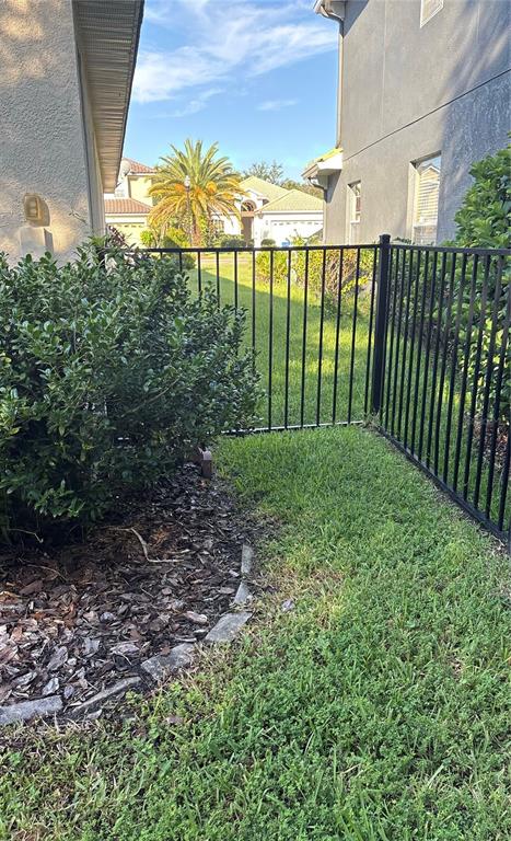 A black metal fence separates a grassy yard from a neighboring house and palm tree — 10864 CORY LAKE DRIVE, TAMPA, FL