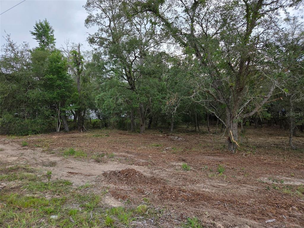 21531 SE 68TH LANE, MORRISTON, FL — photo 2 of 11