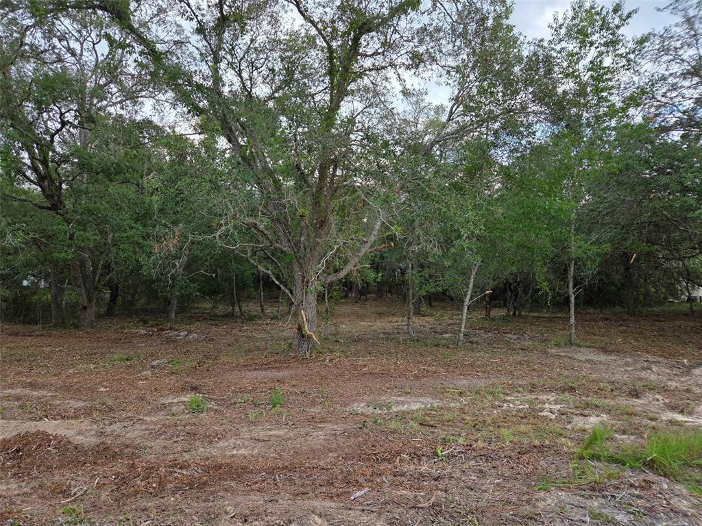 21531 SE 68TH LANE, MORRISTON, FL — photo 3 of 11