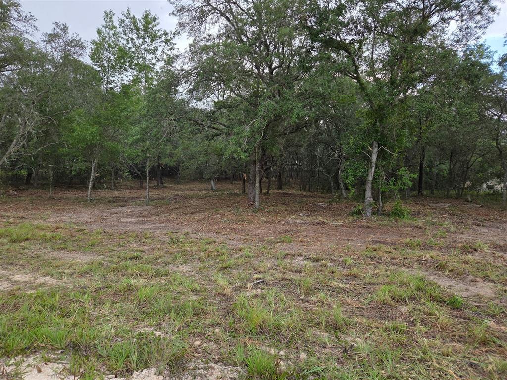 21531 SE 68TH LANE, MORRISTON, FL — photo 4 of 11