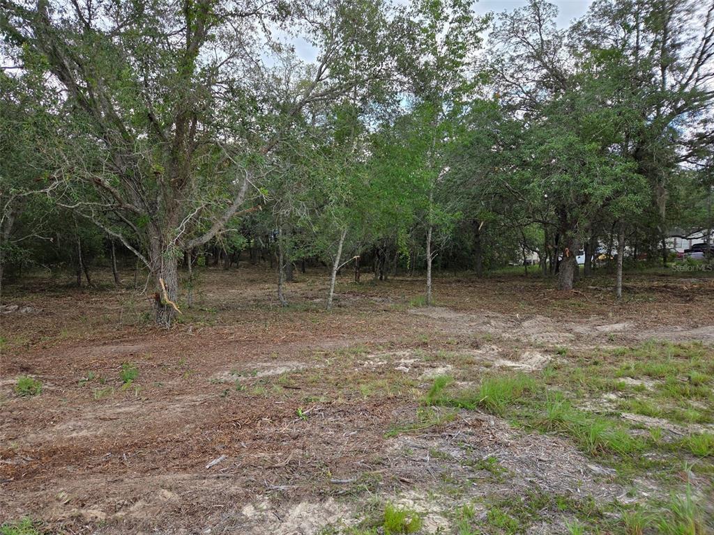 21531 SE 68TH LANE, MORRISTON, FL — photo 5 of 11
