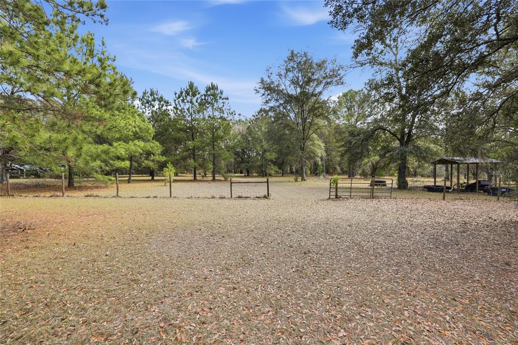 A grassy path leads between two black wooden fences toward a line of trees — 22317 NW 188TH STREET, HIGH SPRINGS, FL