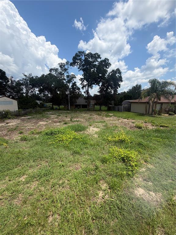 A vacant, grassy residential lot features scattered patches of weeds and several mature trees — 0000 SE HIGHWAY 42, SUMMERFIELD, FL