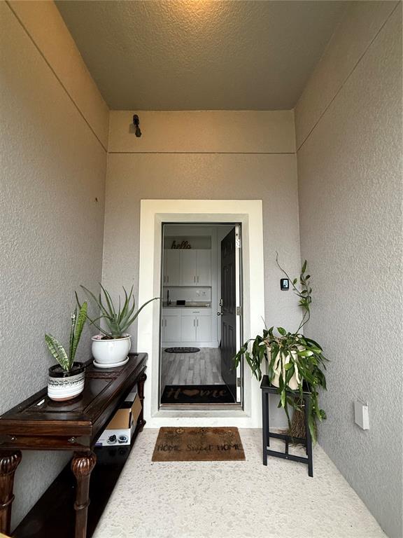 A covered entryway features a dark wood console table, potted plants, and a front door — 12245 PRAIRIE PLANTATION WAY, ORLANDO, FL