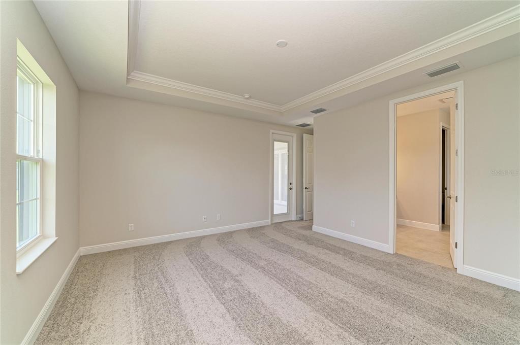 A bedroom with beige walls, a tray ceiling, carpeted flooring, and a glass-paneled door — 33496 TWILIGHT SEA PLACE, DADE CITY, FL