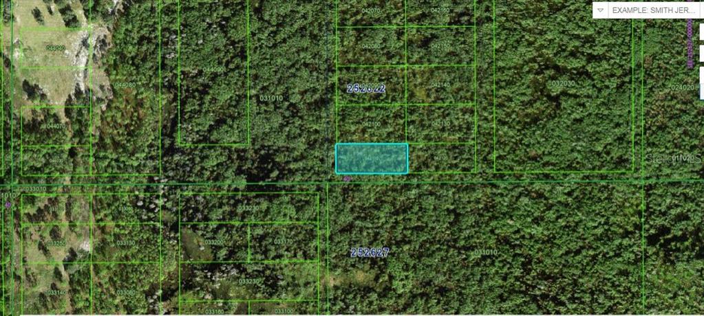 This is a satellite map showing a highlighted rectangular land parcel among dense forest vegetation — COMMONWEALTH AVE N, POLK CITY, FL