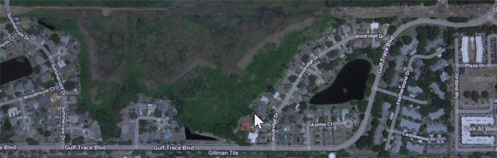 NO ADDRESS ASSIGNED, HOLIDAY, FL — photo 3 of 6
