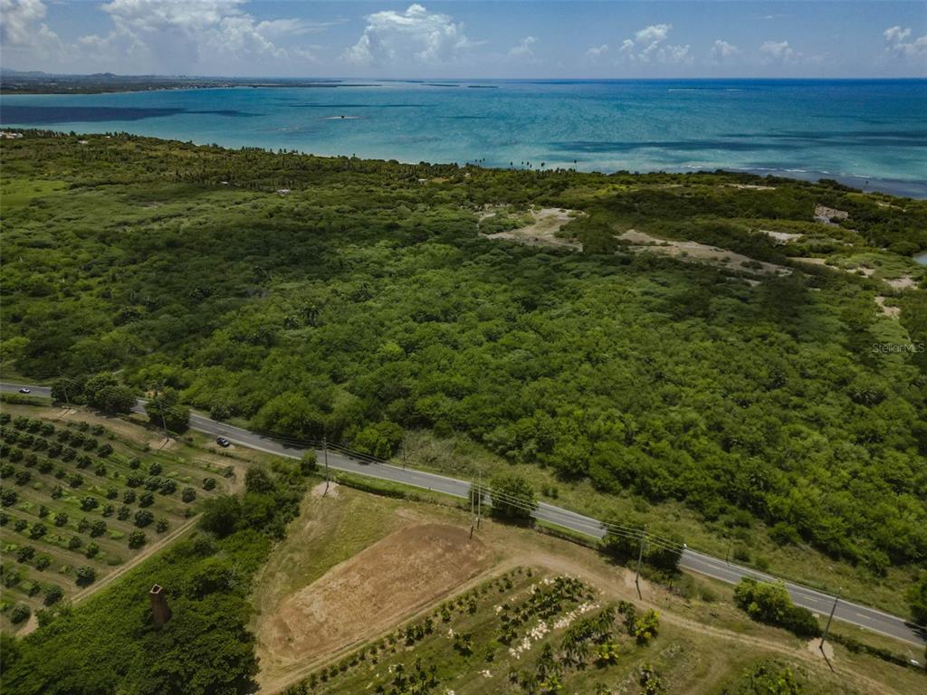 An aerial view shows a large, wooded coastal lot bordering a road and the ocean — CARRETERA PR-1 KM 98.6 UNIT Jauca I Ward, SANTA ISABEL, PR