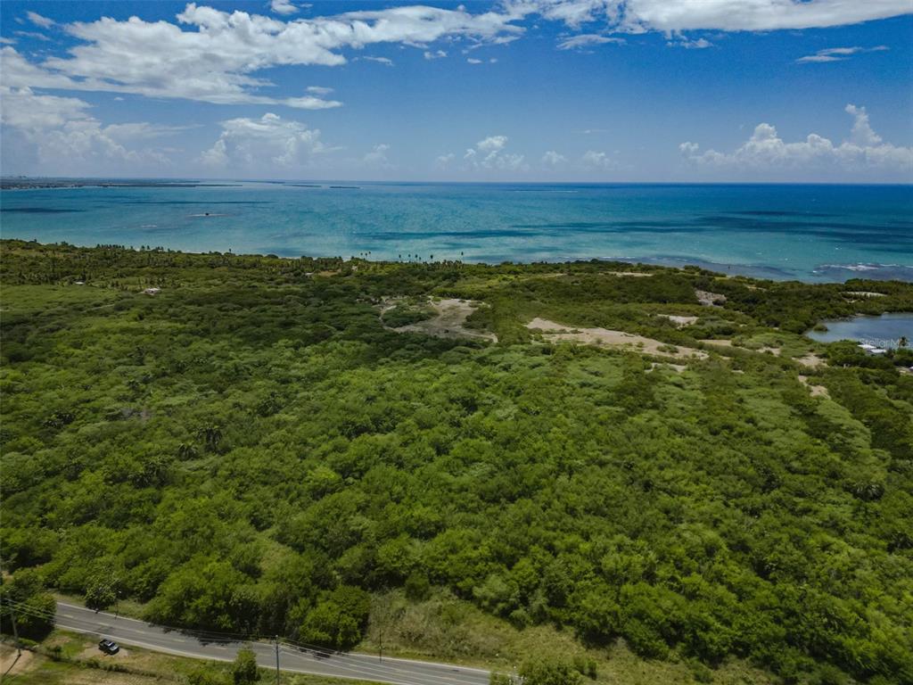 An aerial view shows a large, densely wooded coastal lot bordering a blue ocean — CARRETERA PR-1 KM 98.6 UNIT Jauca I Ward, SANTA ISABEL, PR