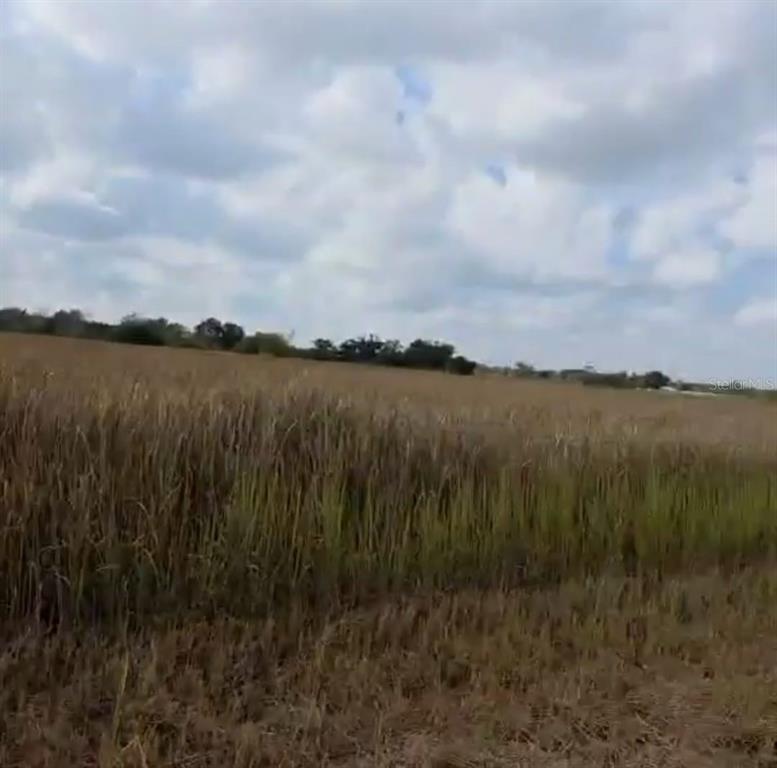 A wide, grassy field stretches toward a line of trees under a cloudy sky — METHENY RD, PARCEL C, WAUCHULA, FL