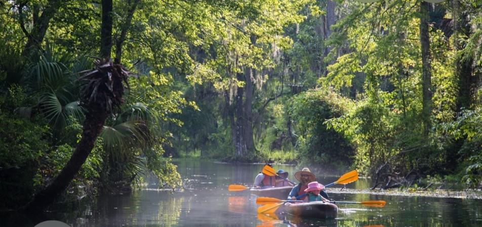 Two kayaks with people paddling down a narrow, tree-lined river in a lush forest — 14263 NE 252ND COURT ROAD UNIT 114, SALT SPRINGS, FL
