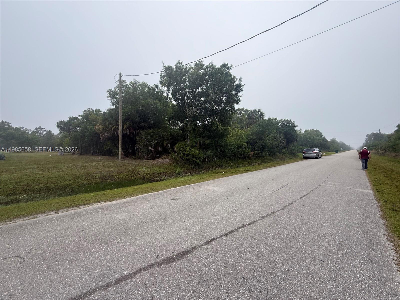 A paved road runs alongside a grassy lot with trees and a parked car — GOLDEN GATE EST E 46, Naples FL 34120, NAPLES, FL