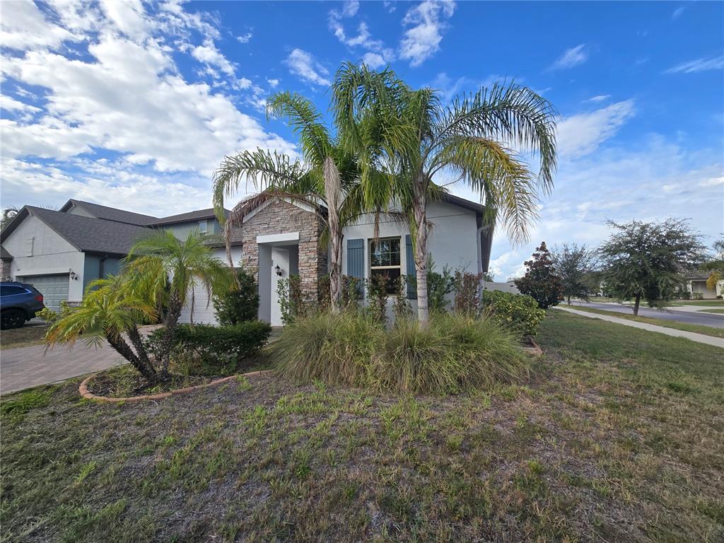A single-story house with a stone-accented entrance, palm trees, and a paved driveway — 11436 CHILLY WATER COURT, RIVERVIEW, FL