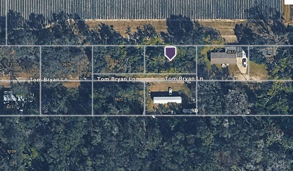 An aerial map view shows several residential lots and houses along a street — 3617 TOM BRYAN LANE, LAKELAND, FL