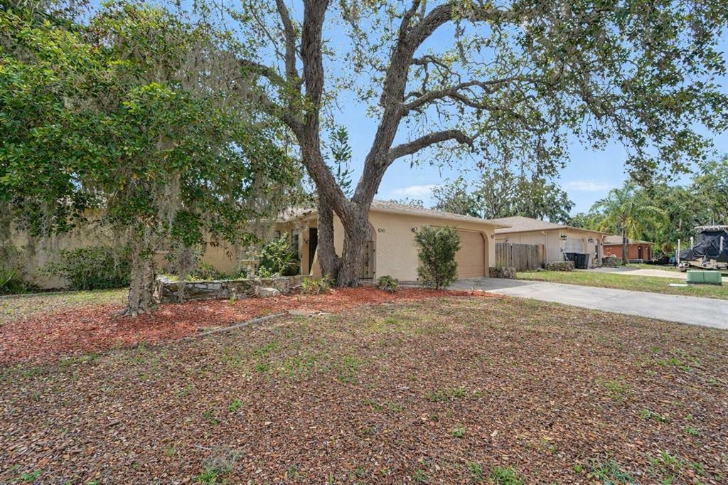 A single-story house with a tan stucco exterior, a garage, and a large front tree — 8741 ELM LEAF COURT, PORT RICHEY, FL