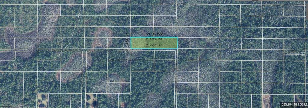 An aerial map shows a rectangular parcel of land highlighted in blue against a wooded background — DILL ROAD, ORLANDO, FL