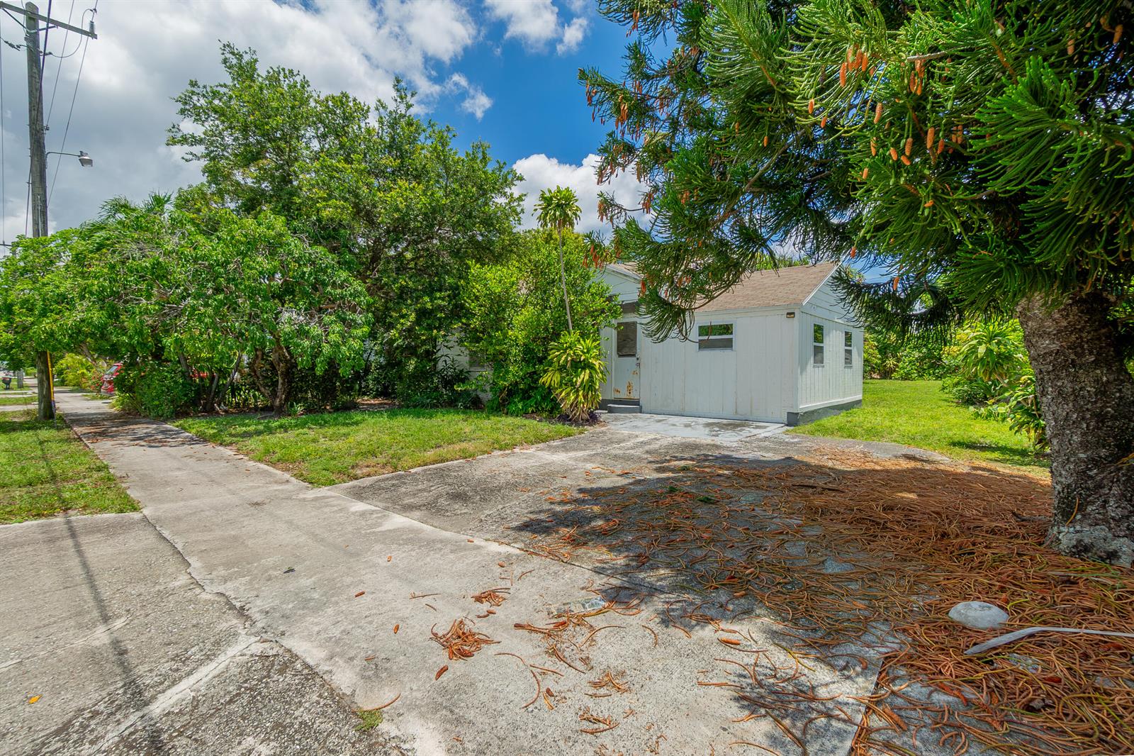 A white, single-story house with a concrete driveway sits behind a large pine tree — 229 SW 4th Avenue, Delray Beach FL 33444, DELRAY BEACH, FL